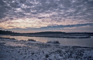 Snow on the Marsh